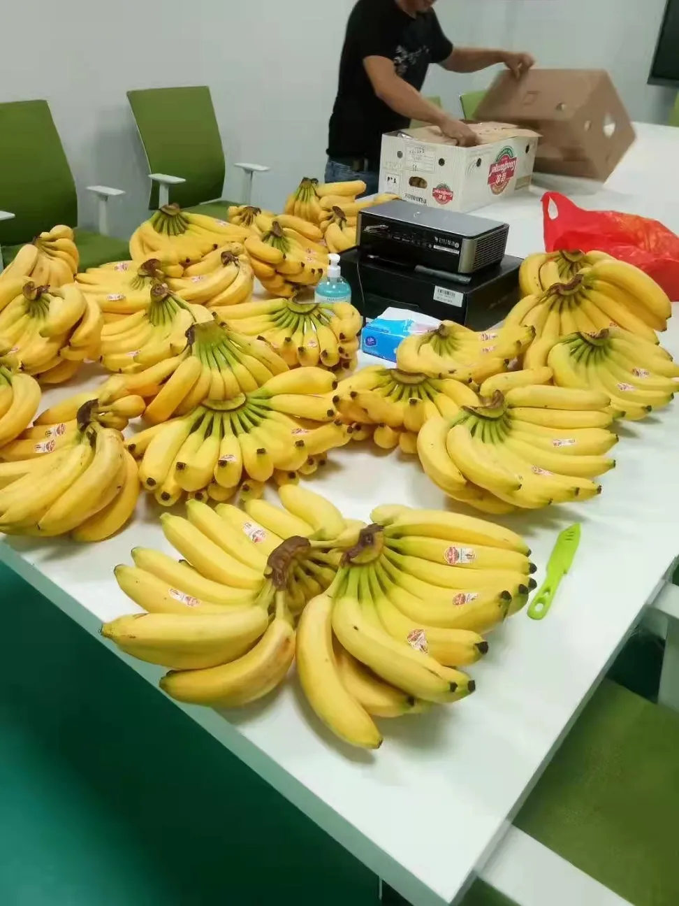 _20220219173249 _20220219173249