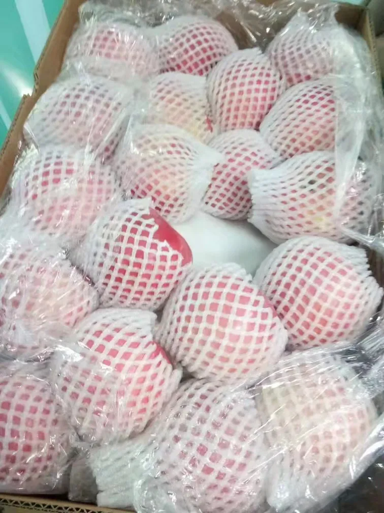 _20220219173238 _20220219173238